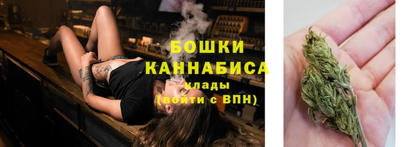 шишки Медногорск