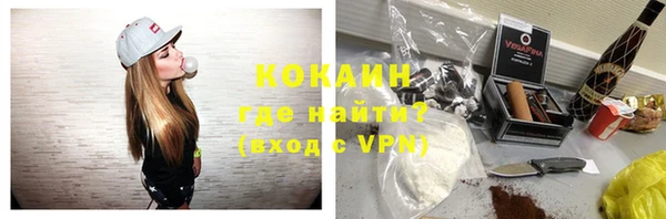 шишки Медногорск