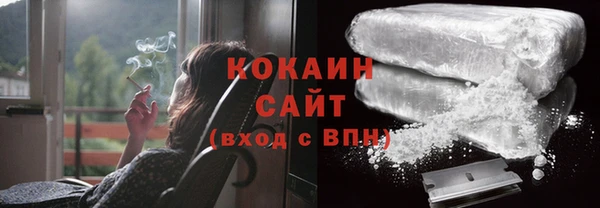 шишки Медногорск