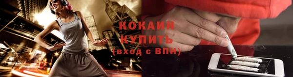 шишки Медногорск