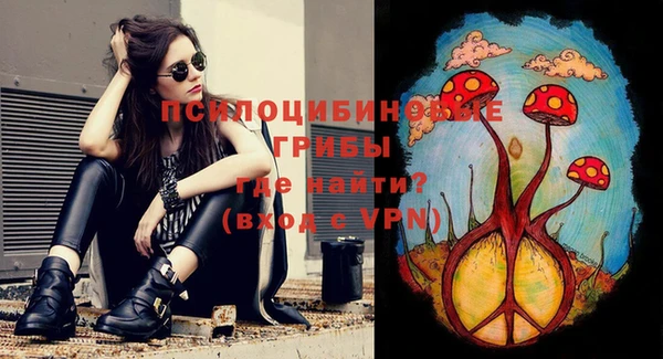 стафф Медвежьегорск