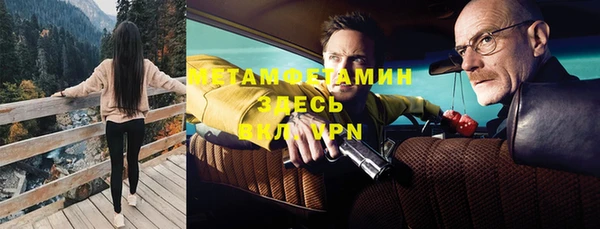 прущие грибы Фурманов