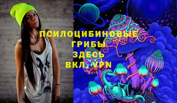стафф Медвежьегорск