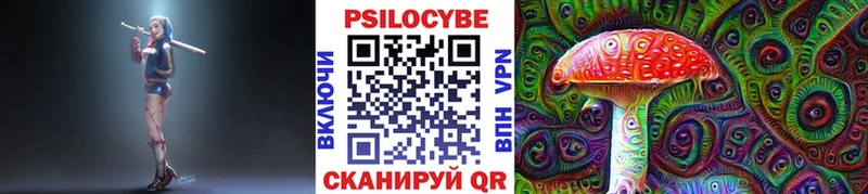 Галлюциногенные грибы Psilocybe закладки Всеволожск