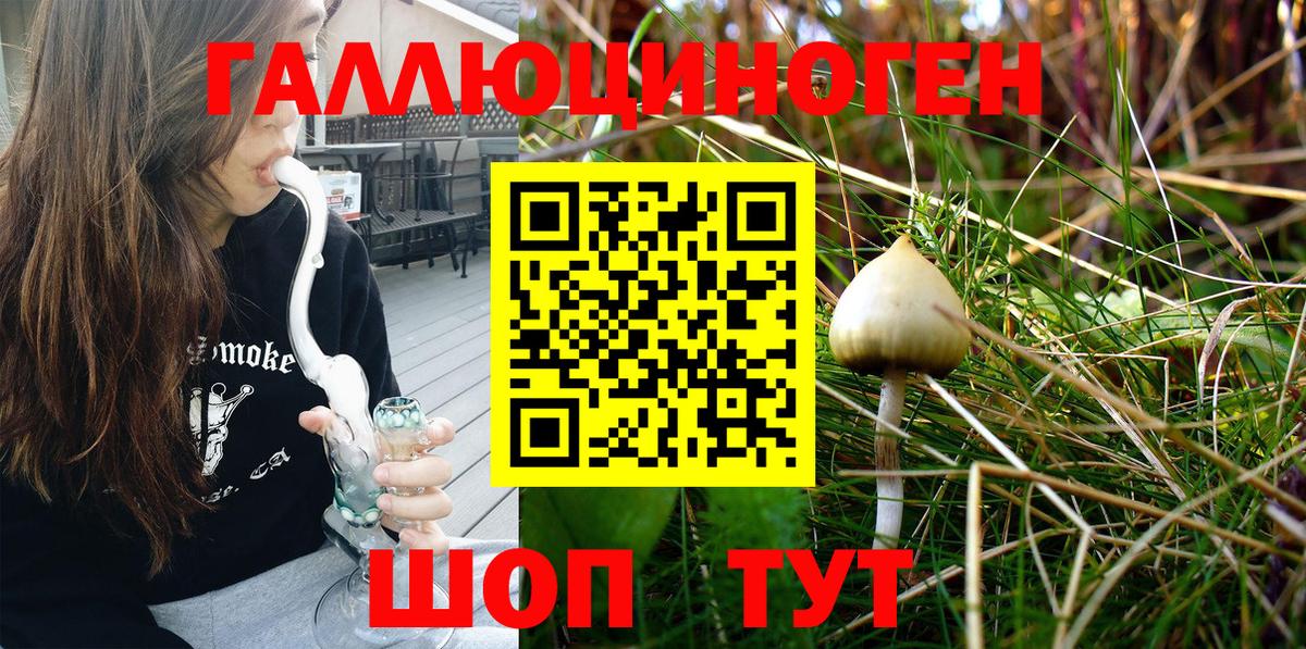 Псилоцибиновые грибы GOLDEN TEACHER Всеволожск