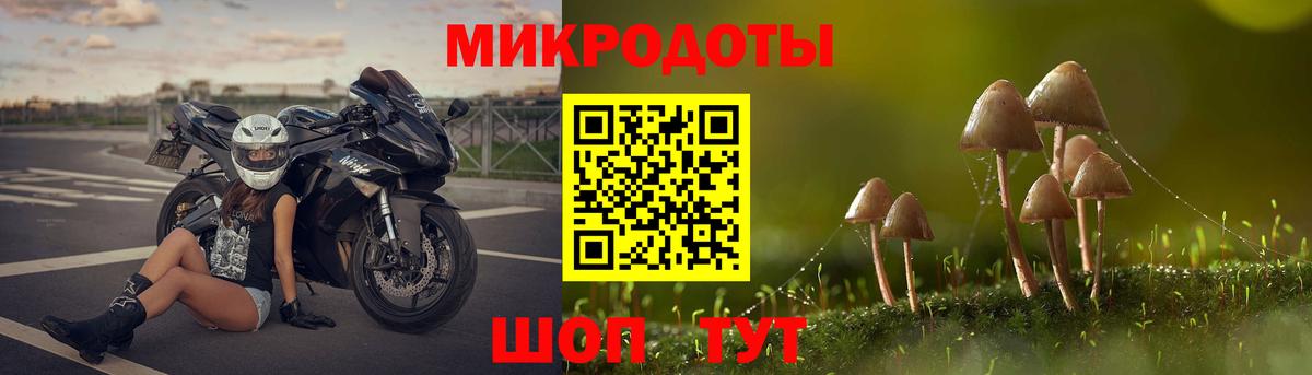 Галлюциногенные грибы GOLDEN TEACHER  Вход с VPN  Всеволожск 