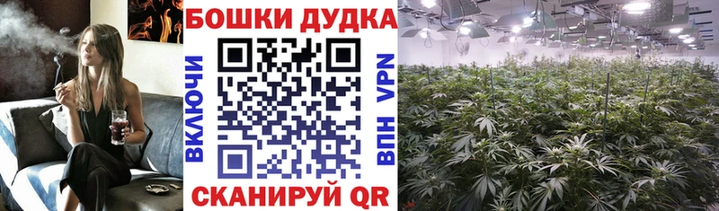 где купить наркотик  Всеволожск  мега сайт  Марихуана индика 